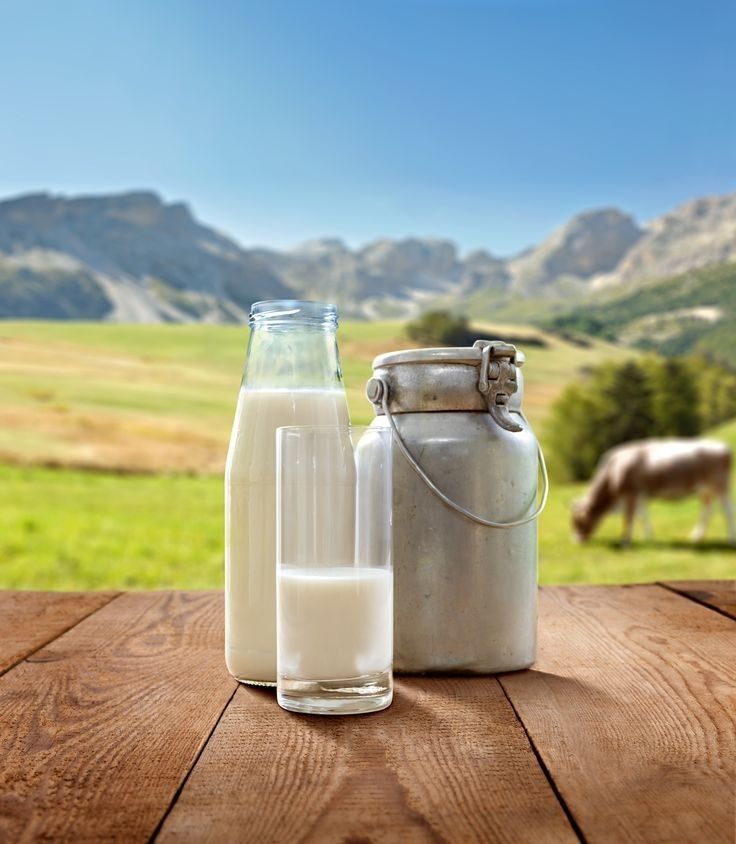 Milk Business Hub