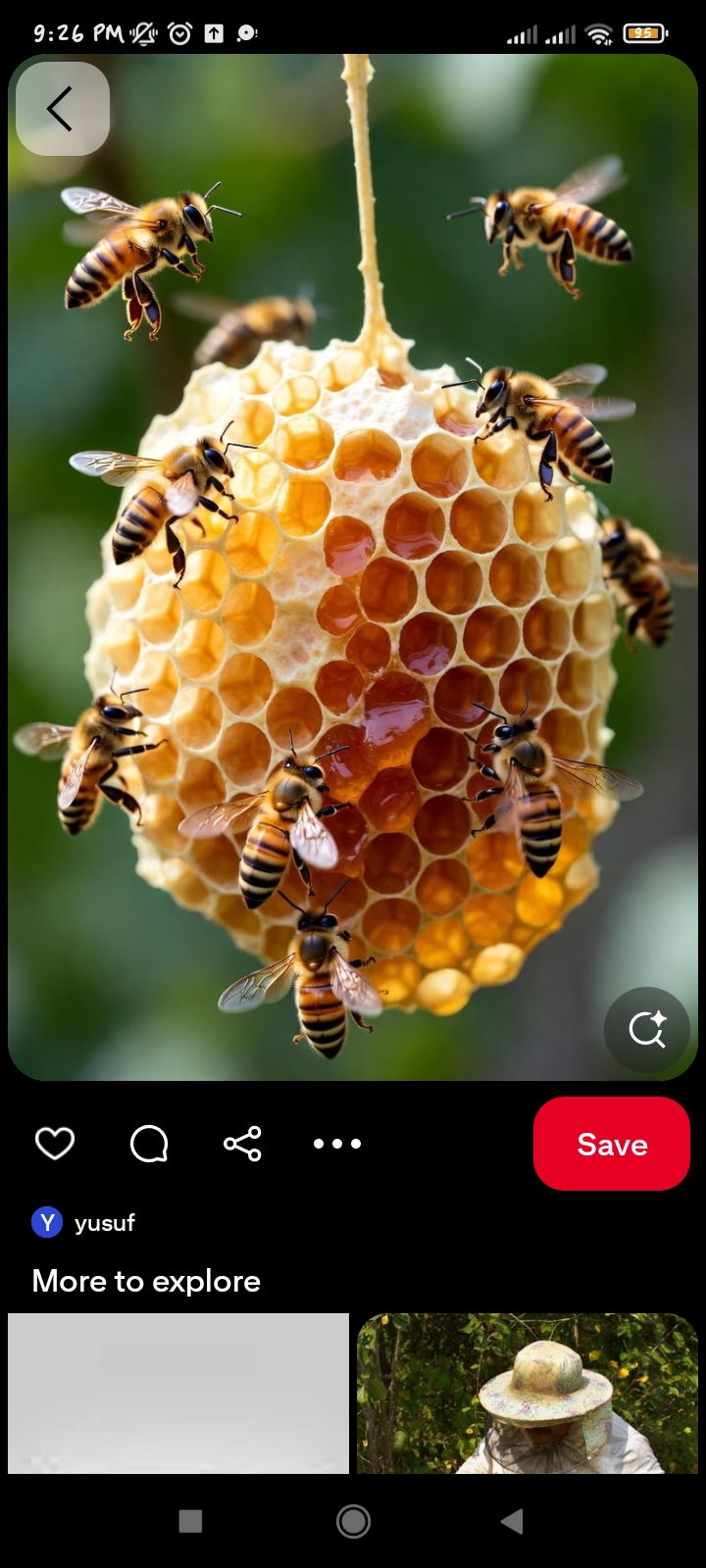 Bee keeping