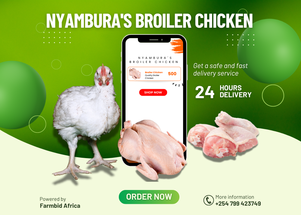 Nyambura's broiler chicken 