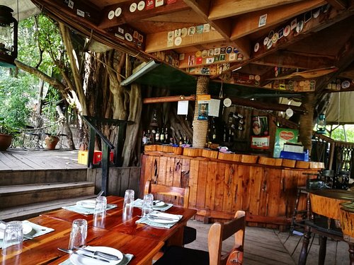 The Trout Tree restaurant